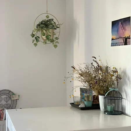 Appartement Super Cosy, A Deux Pas Du Tram *
